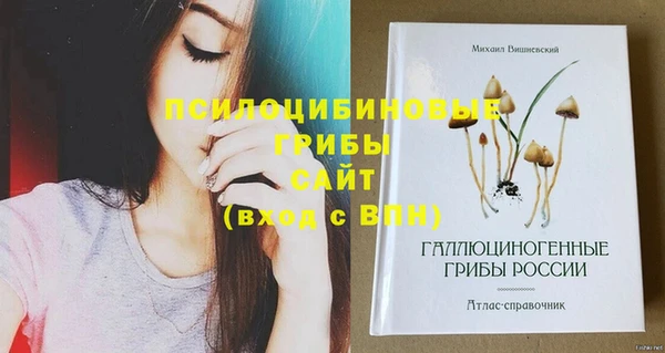 гидра Алзамай