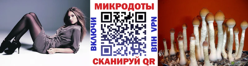 Галлюциногенные грибы GOLDEN TEACHER  сколько стоит  Набережные Челны 