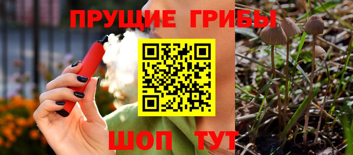 Псилоцибиновые грибы Psilocybe Набережные Челны